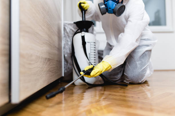 Best Best Pest Control Companies  in Fremont, CA