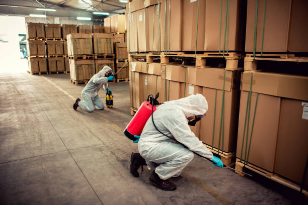Best Wildlife Control Services  in Fremont, CA