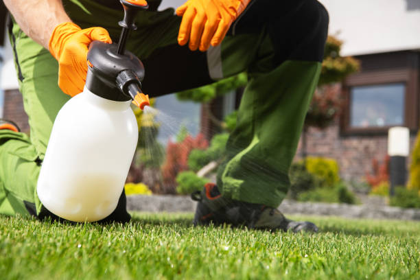 Best Pest Control Near Me  in Fremont, CA