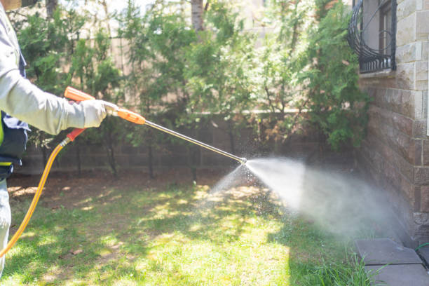 Best Cockroach Control Services  in Fremont, CA