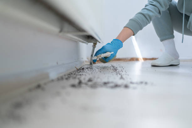 Best Flea Control Services  in Fremont, CA